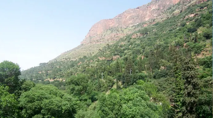 Le Parc National de Tlemcen1