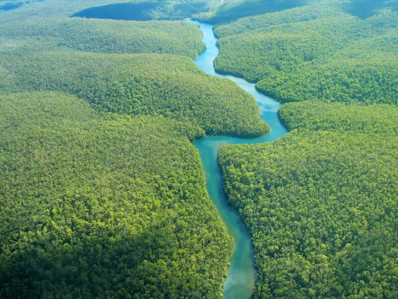 Comment le sable du Sahara algérien fertilise la forêt amazonienne