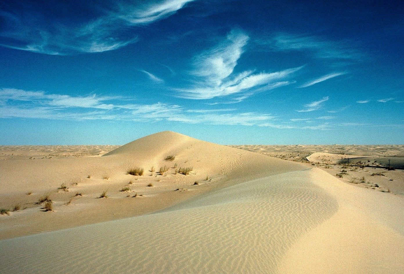 10 bonnes raisons de visiter El Oued