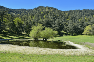 Le Parc National de Belezma