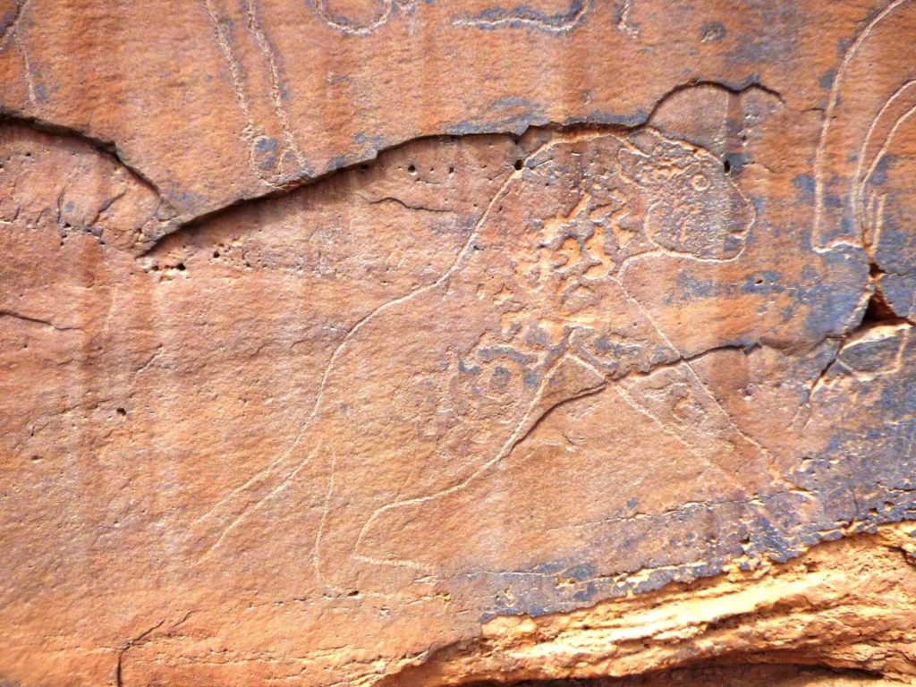 10 bonnes raisons de visiter Naâma 9 Naâma
