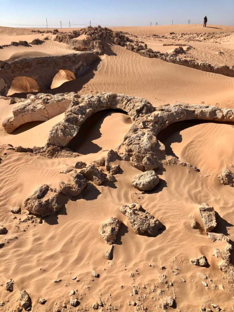 10 bonnes raisons de visiter Ouargla 3 Ouargla