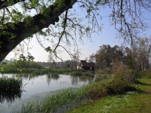 Le parc national dEl Kala 1