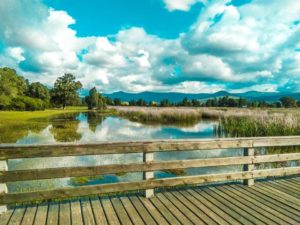 Le parc national dEl Kala 3