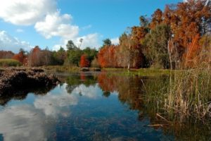 Le parc national dEl Kala 4