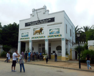 Le jardin d’essai d’Alger