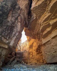 Biskra5