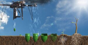 drone arbres biocarbon engineering 835x430 1