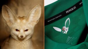 fennec