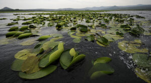 lac Tonga