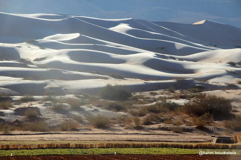 Colossal les images du désert algérien enneigé fascinent les internautes 3