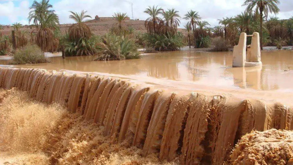 Ghardaïa: lancement d’études de restauration du patrimoine culturel Les-syste%CC%80mes-de-partage-des-eaux-a%CC%80-Ate-Izjen-un-savoir-ancestral