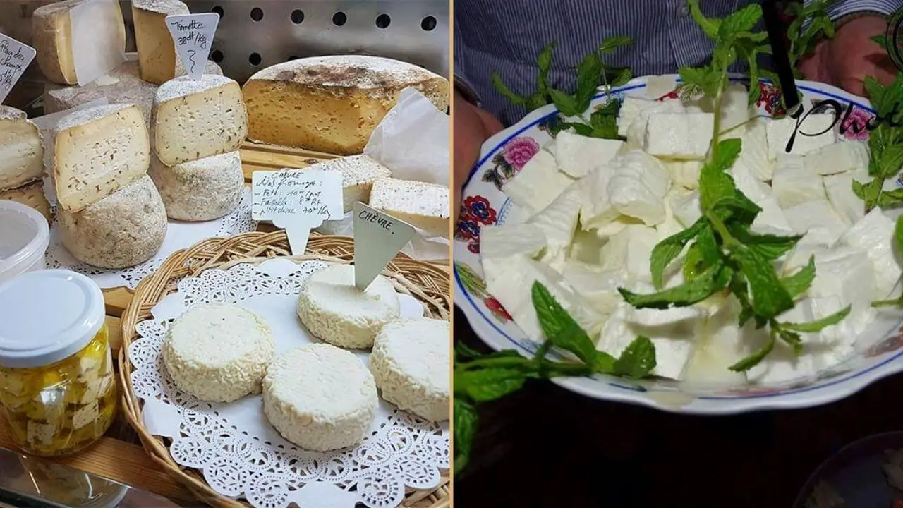 fromage de terroir Algérie