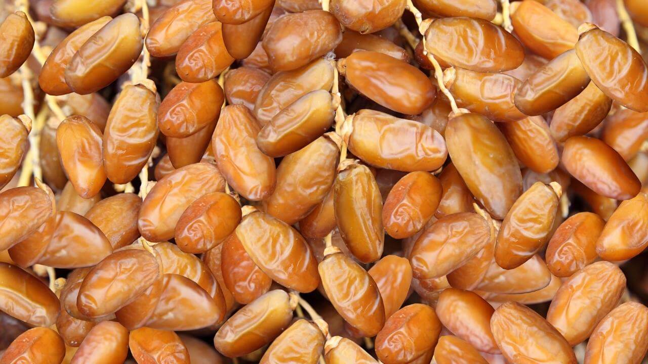 Anthony Valota : «La Deglet Nour, une datte algérienne exceptionnelle en termes de goût et de nutrition» 2 Deglet Nour