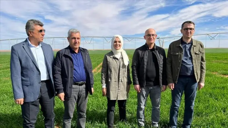 Une entreprise turque lance un projet innovant dagriculture dans le desert en Algerie