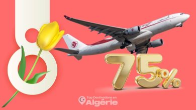 Air Algérie femmes algériennes