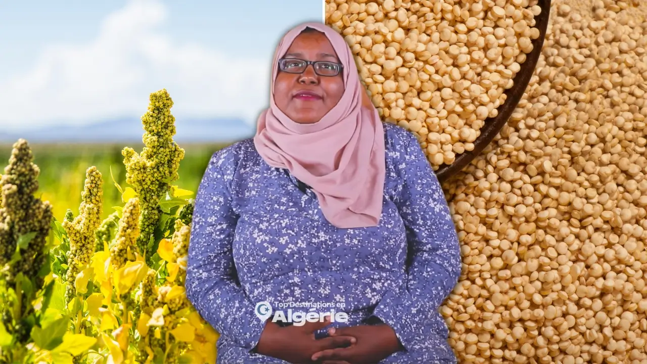 quinoa