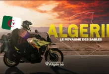 J'ai tout quitté pour l'Algérie