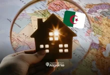 Immobilier Algérie