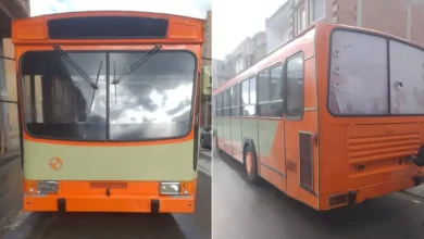 bus