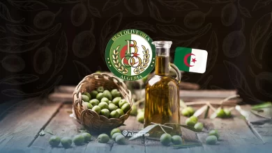 huile d'olive algérienne