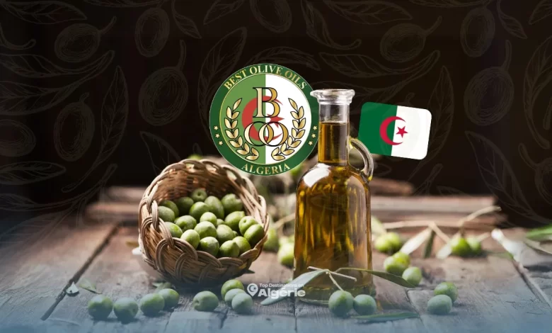huile d'olive algérienne
