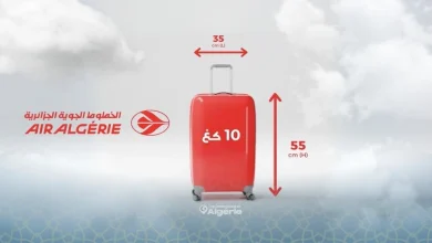 Bagages cabine