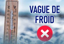 Vague de froid