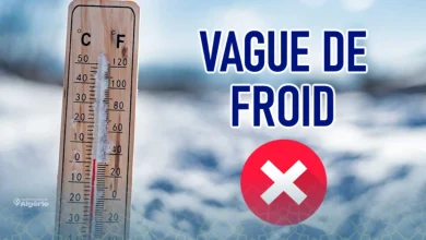 Vague de froid