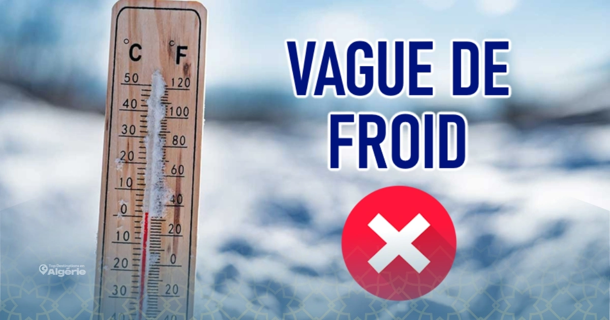 Vague de froid