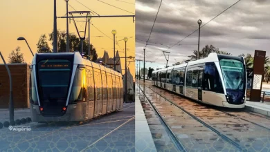 Tramway de Ouargla