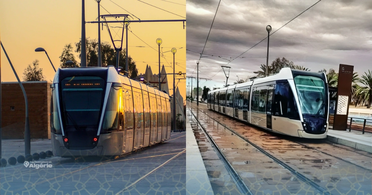 Tramway de Ouargla