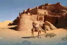 Ksar de Taghit