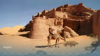 Ksar de Taghit