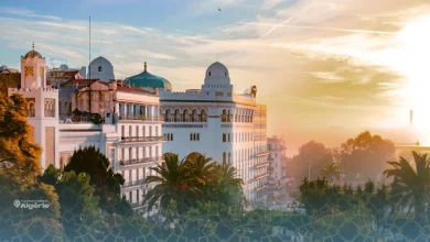 Alger