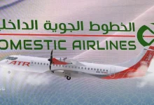 Domestic Airlines