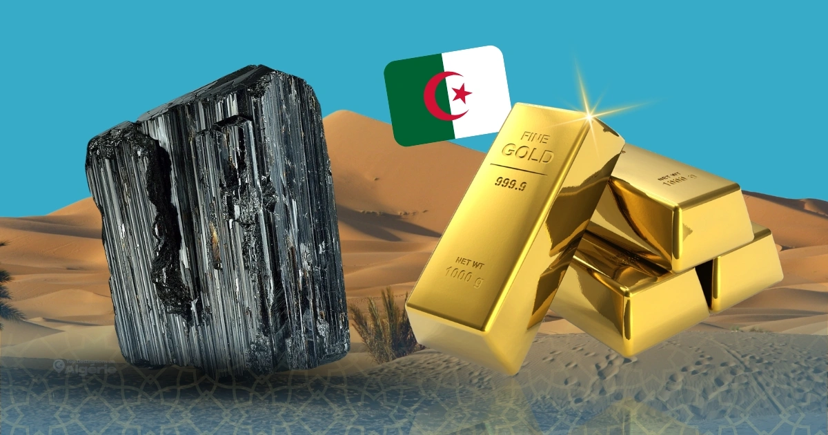 Tamanrasset : la tourmaline pourrait révéler de l’or vieux de 800 millions d’années 1 Tamanrasset