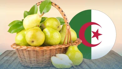 poire algérienne