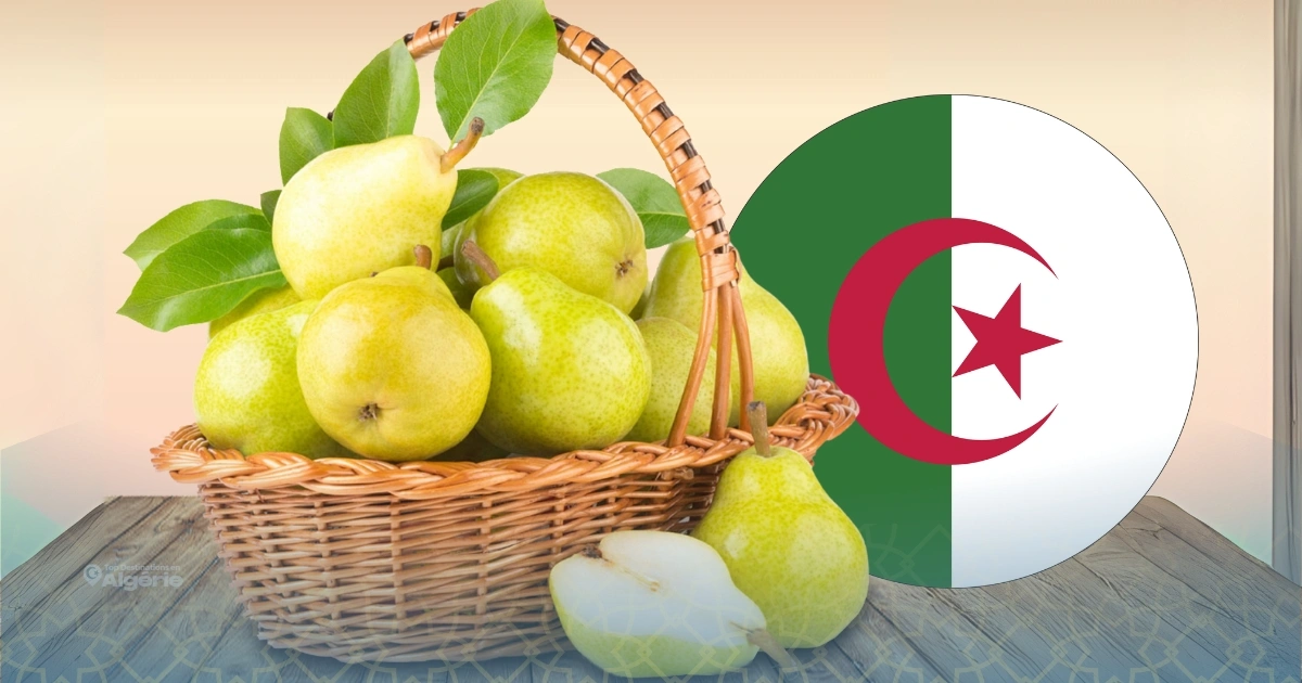 La poire algérienne : championne méconnue du monde arabe 1 poire algérienne