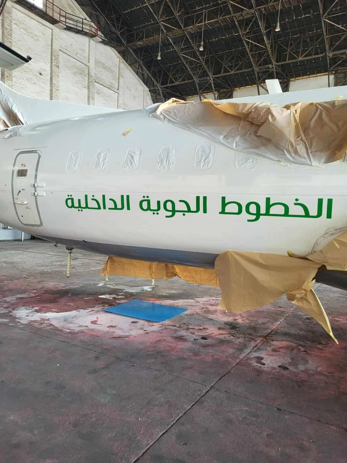 Domestic Airlines : le nouvel envol des vols intérieurs en Algérie 2 Domestic Airlines