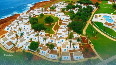 Tipaza