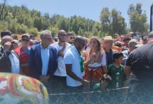 Yacine Brahimi