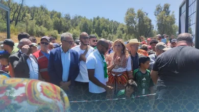 Yacine Brahimi