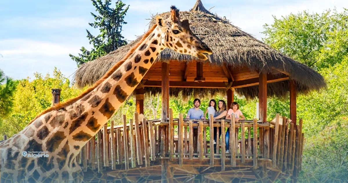 Ben Aknoun se réinvente : safari, aquabird et modernisation des espaces de loisirs 1 safari