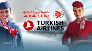 Air Algérie et Turkish Airlines s’allient pour élargir leurs horizons 16 Air Algérie