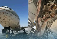Collision spectaculaire entre un Boeing 777 et une nuée d’oiseaux à Alger 4 Boeing 777