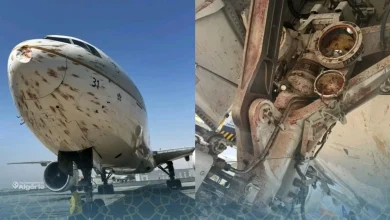 Collision spectaculaire entre un Boeing 777 et une nuée d’oiseaux à Alger 18 Boeing 777