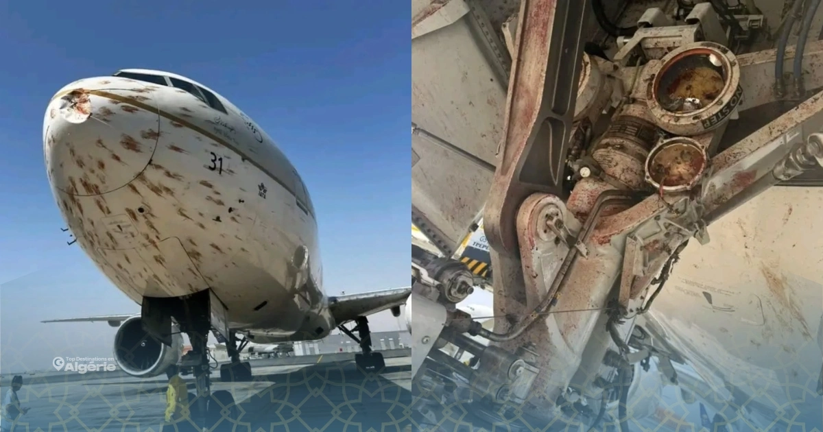 Collision spectaculaire entre un Boeing 777 et une nuée d’oiseaux à Alger 1 Boeing 777