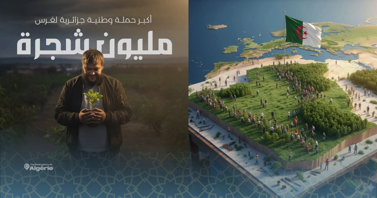 L’Algérie passe au vert : 58 wilayas unies pour planter un million d’arbres 1 Fouad Maala