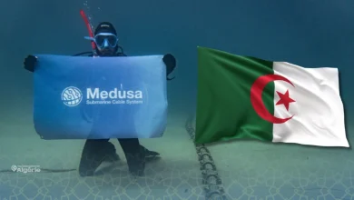 L’Algérie se connecte au futur : lancement du câble sous-marin “Medusa” 18 Medusa